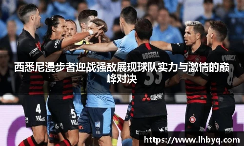 伟德bv国际体育